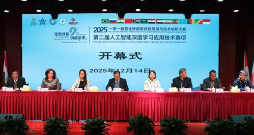 技能交融 創新引領——2025一帶一路暨金磚國家技能發展與技術創新大賽在桐城師專舉辦，技術服務賦能未來